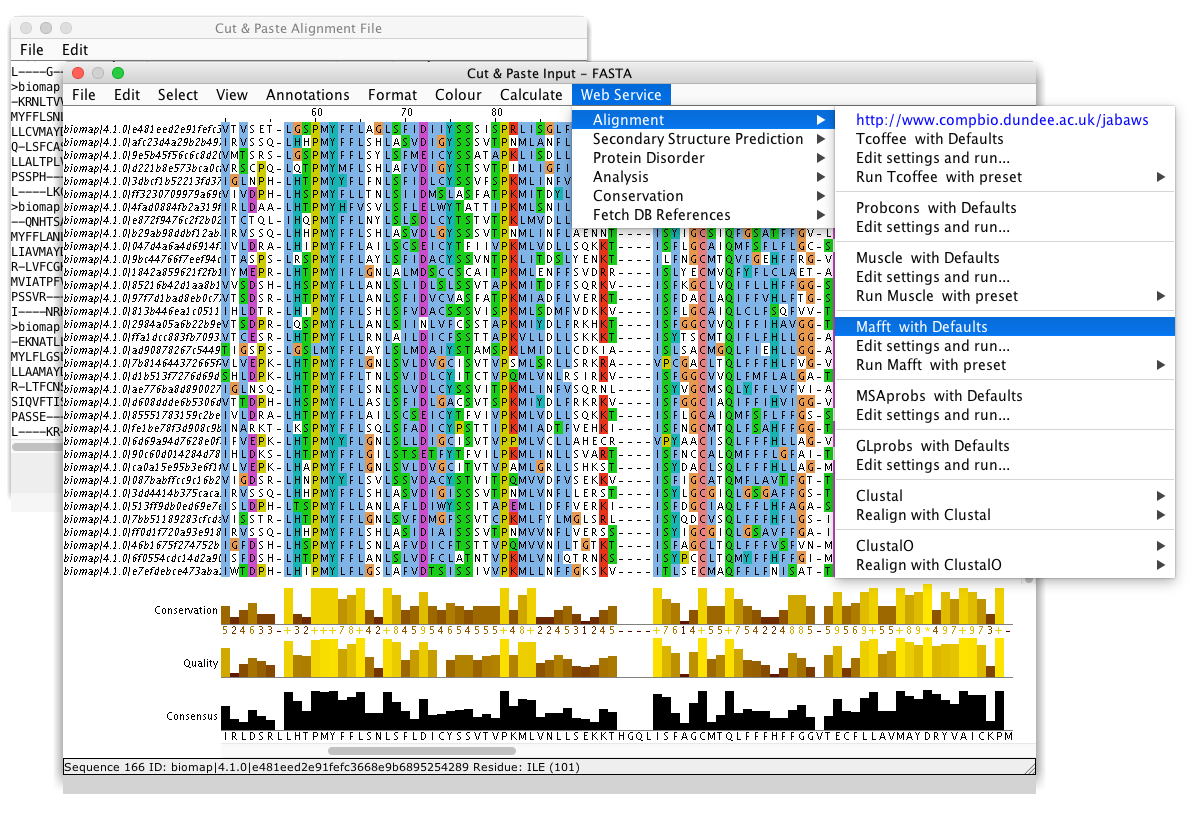 Jalview: Sequence Alignment