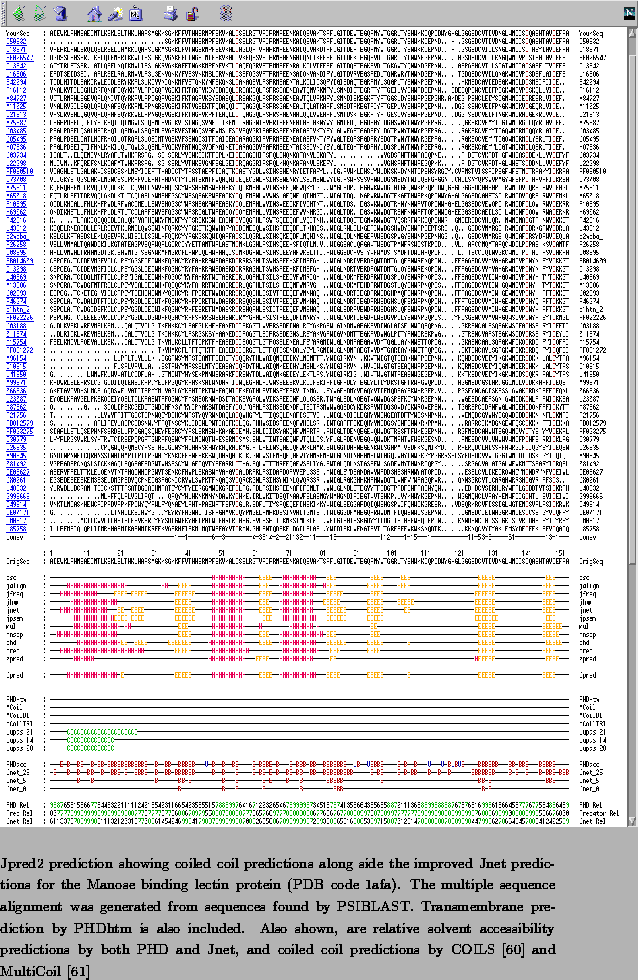 \begin{figure}\begin{center}
\leavevmode
\epsfysize 520pt
\epsfxsize 400pt
\epsf...
...
predictions by COILS \cite{coils} and MultiCoil \cite{multicoil}}
\end{figure}